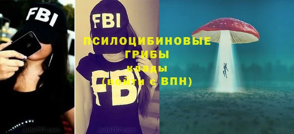 СК Елабуга