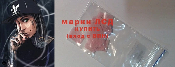 СК Елабуга