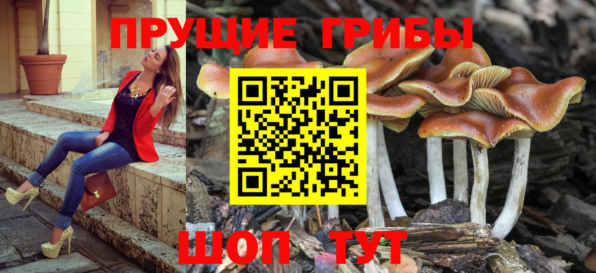 Псилоцибиновые грибы ЛСД  Псилоцибиновые грибы мицелий  Вход с VPN  Гулькевичи 