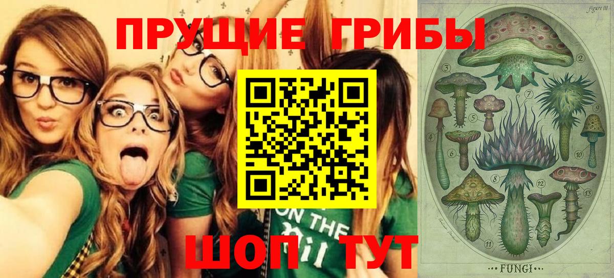 Галлюциногенные грибы прущие грибы Гулькевичи